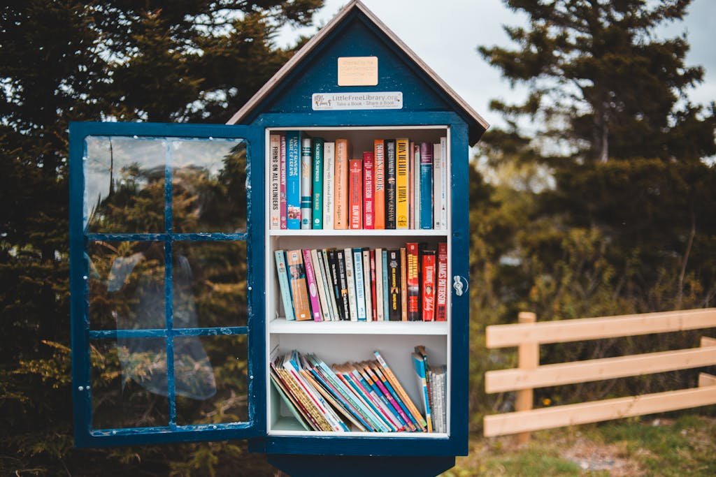 Wooden house shaped public bookcase with opened door filled with books and located in lush green park